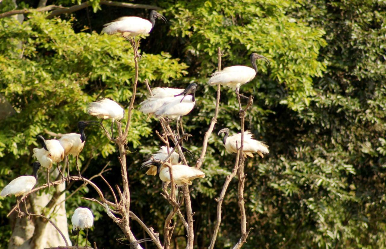 Wasgamu Safari Lodge Wasgamuwa Esterno foto