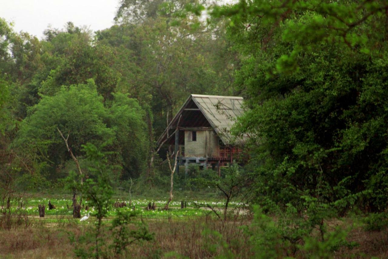 Wasgamu Safari Lodge Wasgamuwa Esterno foto