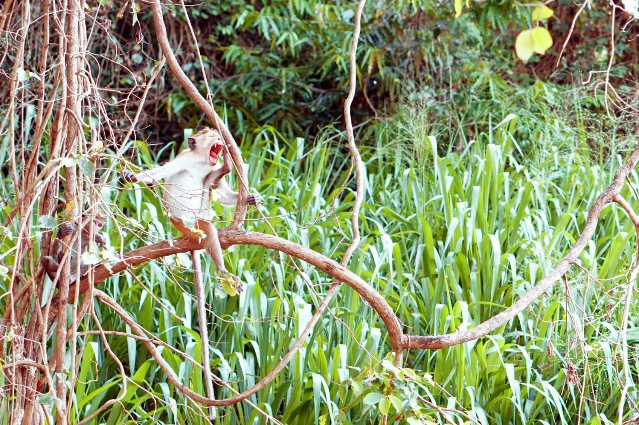 Wasgamu Safari Lodge Wasgamuwa Esterno foto