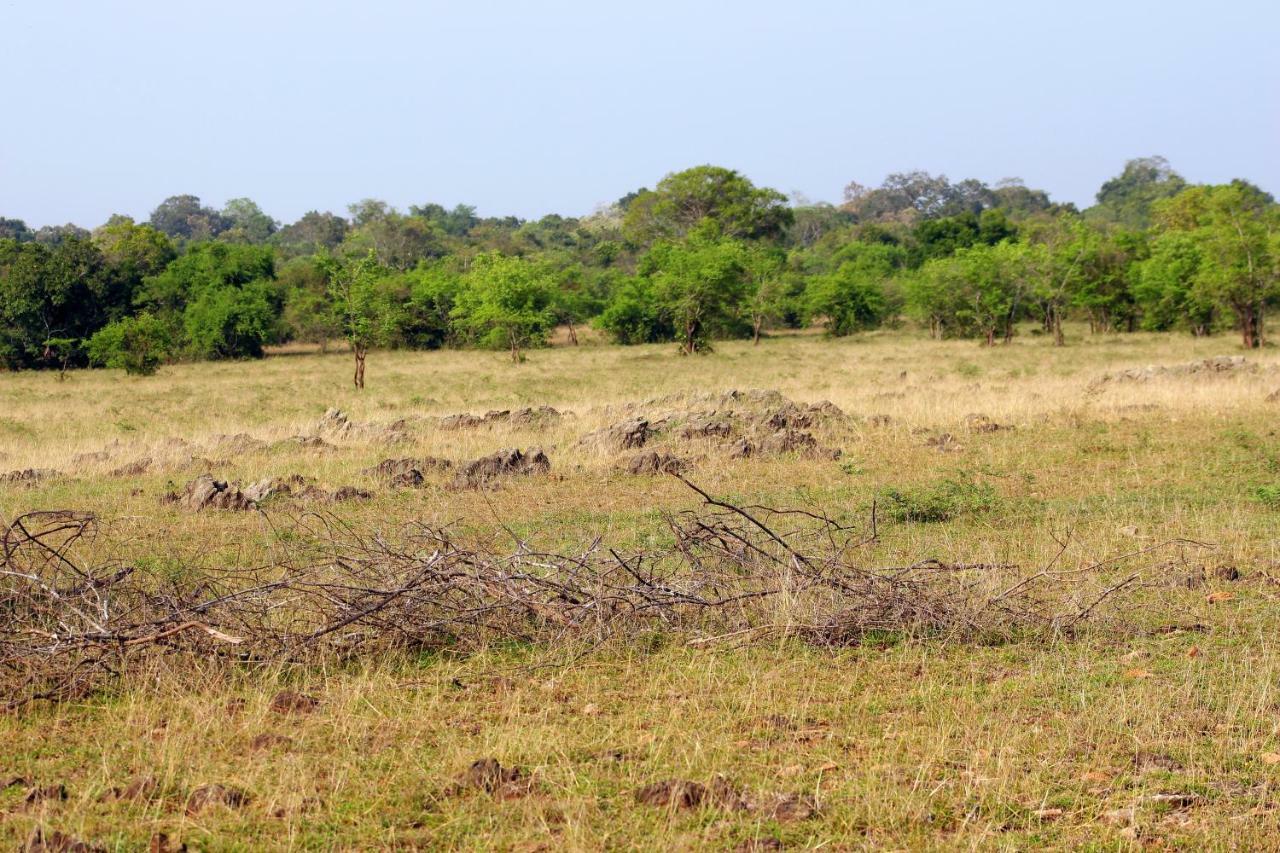 Wasgamu Safari Lodge Wasgamuwa Esterno foto